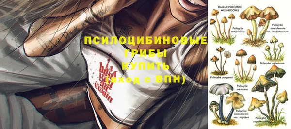 a pvp Абдулино